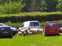 Bentley Wildfowl and Motor Museum 1079731 Image 1